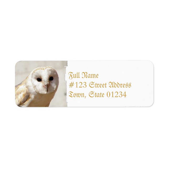 Etiqueta Snowy Barn Owl Endereço Labels (Frente)