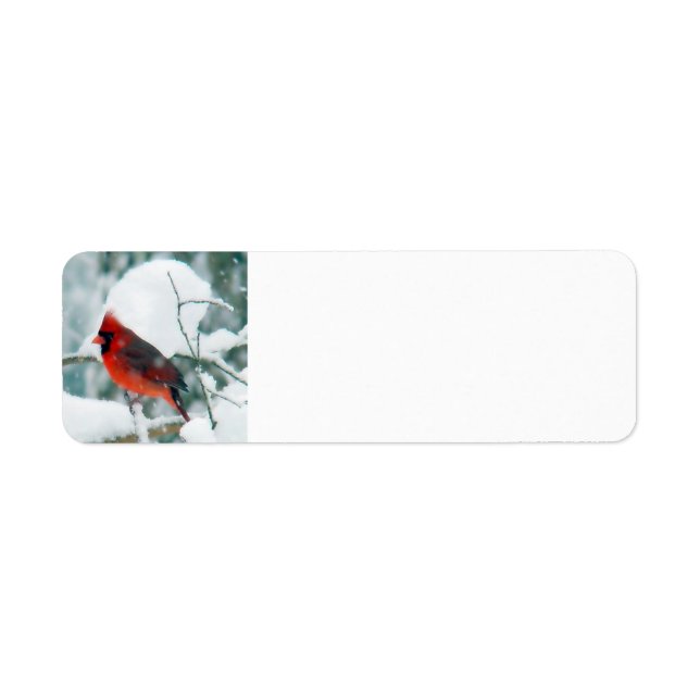 Etiqueta Snowy Cardinal (Frente)