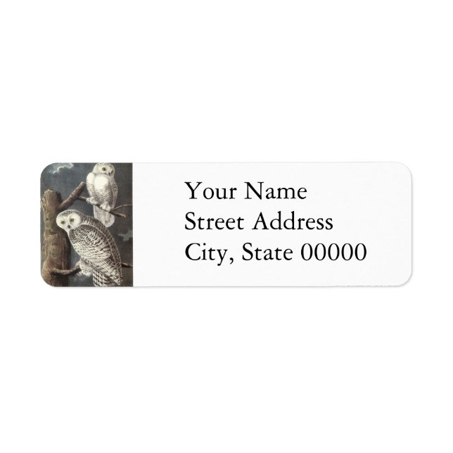 Etiqueta Snowy Owl, John Audubon (Frente)
