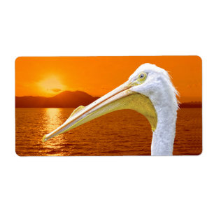 Etiqueta Sol branco-americano Pelicano em Corfu