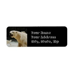 Etiqueta Sorrir forçadamente do urso polar