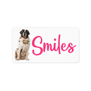 Etiqueta Sorrisos Santo Bernard Cachorro Cachorro Rua Berna
