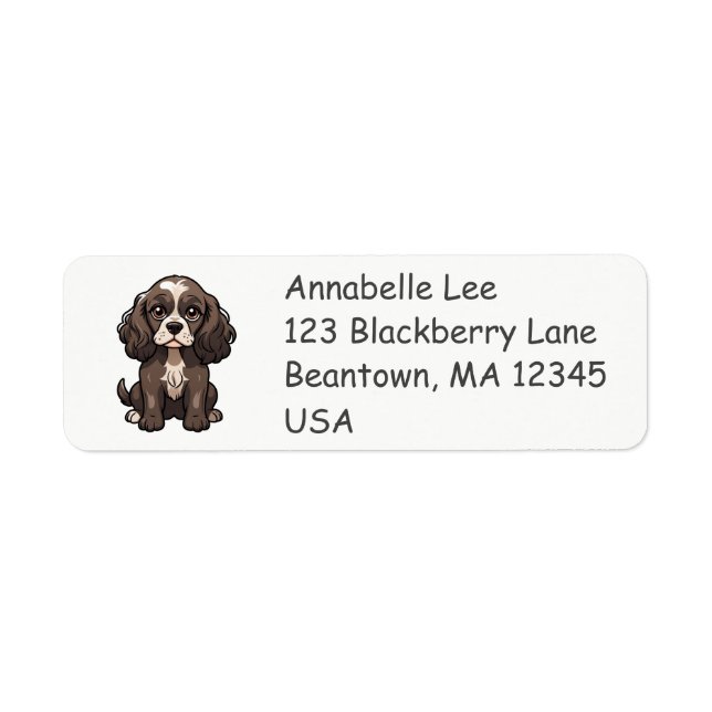 Etiqueta Spaniel Springer Fofo (Frente)