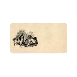 Etiqueta Spaniels dos 1800s do cão do Spaniel de rei