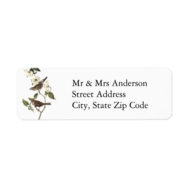 Etiqueta Sparrow com garganta branca - John Audubon (Frente)