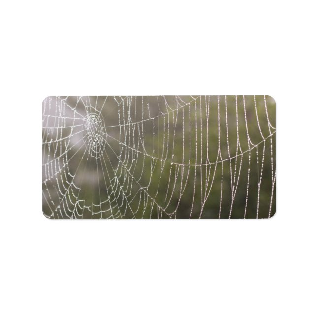 Etiqueta Spider Cobweb (Frente)