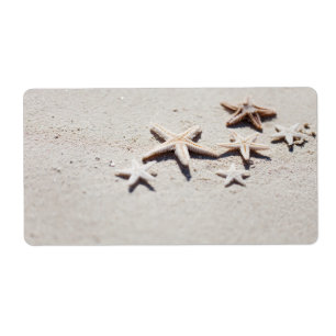 Etiqueta Starfish na areia