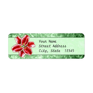 Etiqueta Stargazer Lily