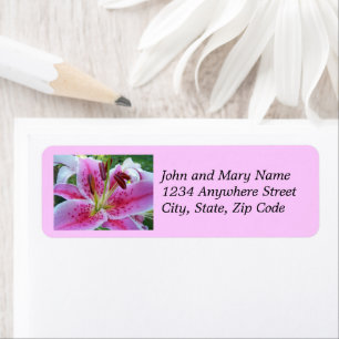 Etiqueta Stargazer Rosa Lily Floral Foto