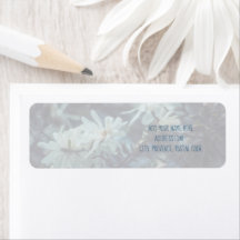 Starry Magnolia 3172