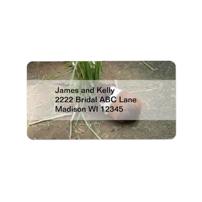 Etiqueta Suíno-guincho (Frente)