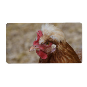 Etiqueta Sulmtaler Hen