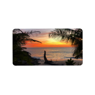 Etiqueta Sunset de praia tropical havaiana tranquilo