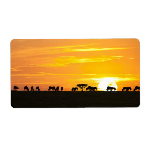 Etiqueta Sunset em Serengeti