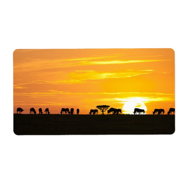 Etiqueta Sunset em Serengeti (Frente)
