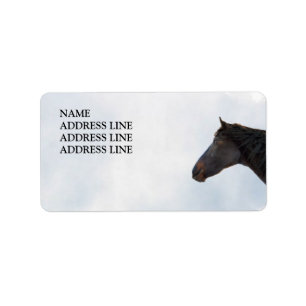 Etiqueta Surpresa e céu - endereço do remetente ocidental