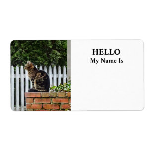 Etiqueta Tabby Cat em Brick Wall