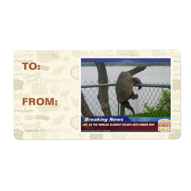 Etiqueta Tartaruga de saída (Frente)