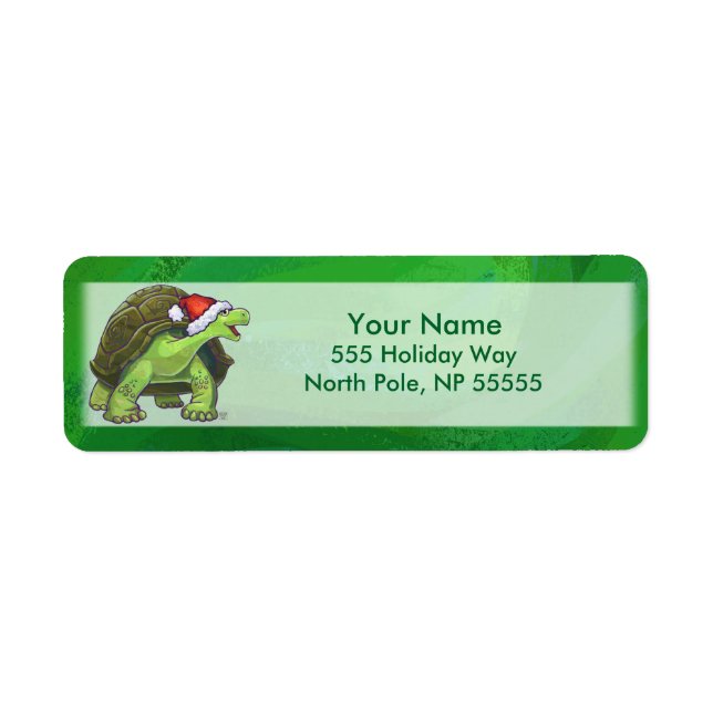 Etiqueta Tartaruga em Santa Chapéu em Verde (Frente)