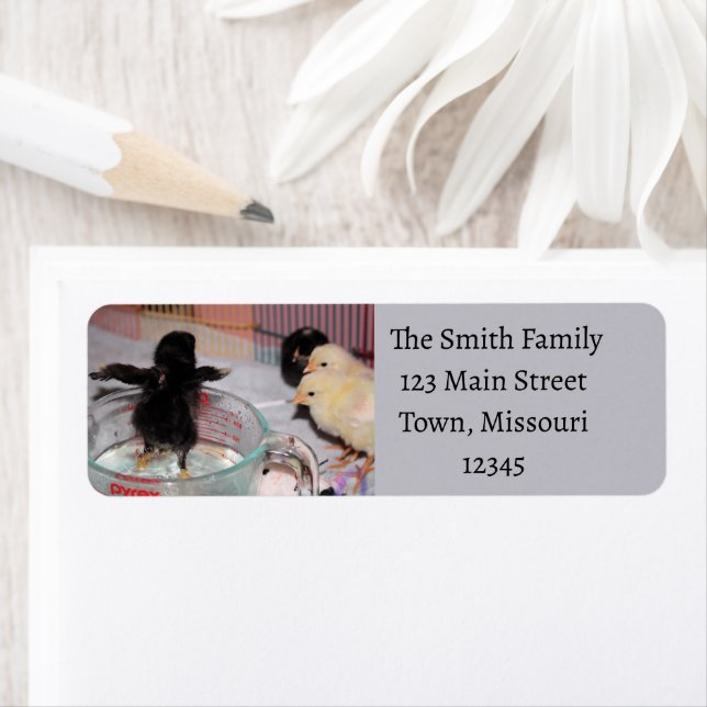 Etiqueta Tempo de banho (Insitu)