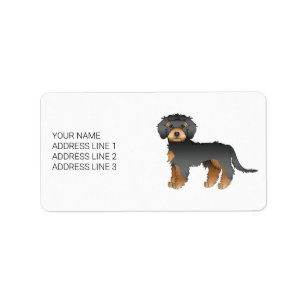 Etiqueta Texto e Cão Mini Goldendoodle Preto E Tano