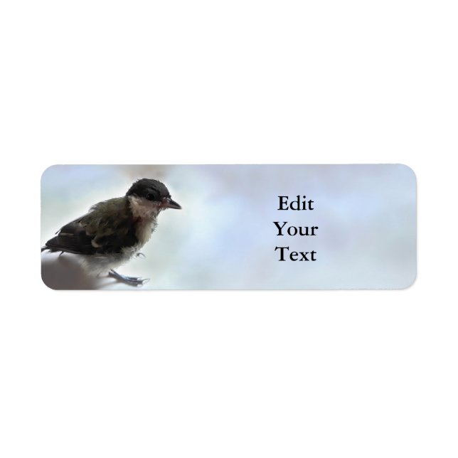 Etiqueta Tidi, meu Pássaro, o Parus Major (Frente)