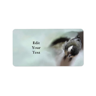 Etiqueta Tidi, meu Pássaro, o Parus Major