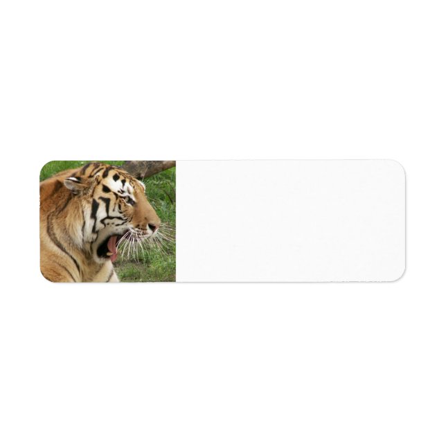 Etiqueta Tigre (Frente)