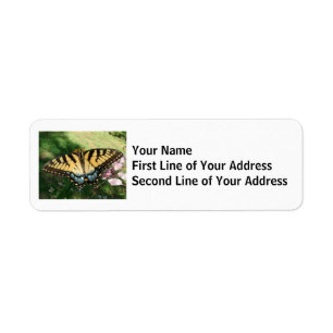 Etiqueta Tigre Swallowtail ao lado de Cleome