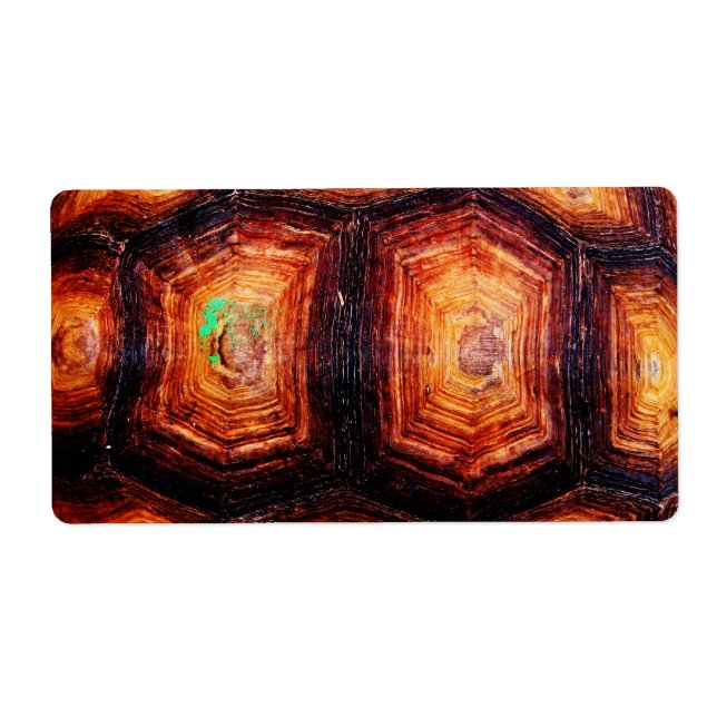 Etiqueta Tortoisinferno (Frente)