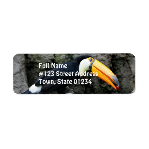 Etiqueta Toucan com Berry