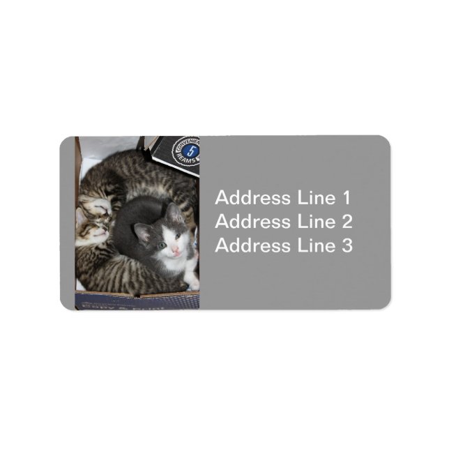 Etiqueta Três Pequenos Gatinhos (Frente)