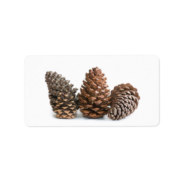 Etiqueta Três pinos (Frente)