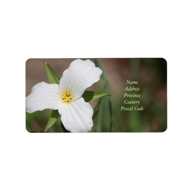 Etiqueta Trillium Personalizada (Frente)