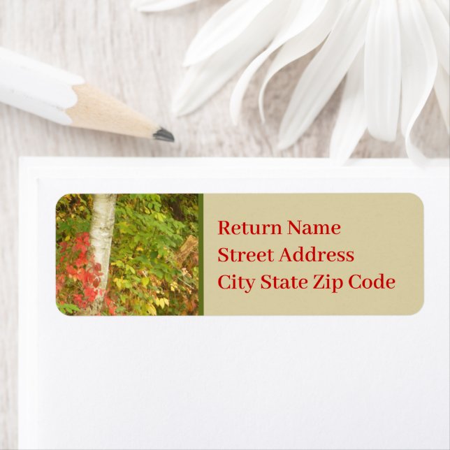 Etiqueta Tronco de Árvore Birch (Insitu)