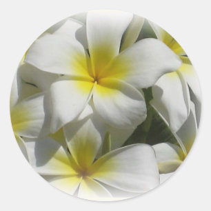 Etiqueta tropical das flores de Celedine do
