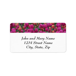 Etiqueta Tulipas Rosa Coloridas Endereço de Devolução Flora