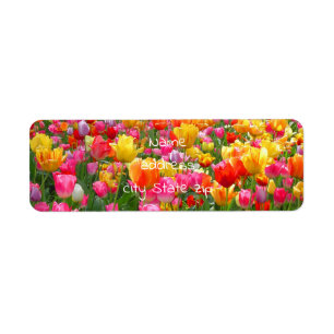 Etiqueta Tulipas vermelhas cor-de-rosa amarela