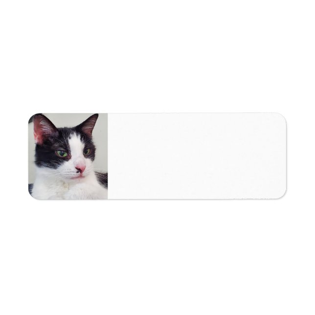 Etiqueta Tuxedo Cat (Frente)