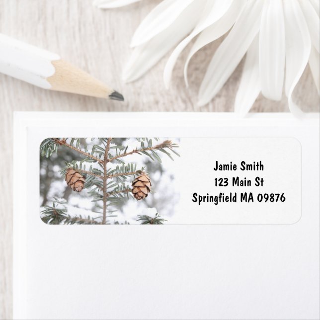Etiqueta "Twin Pinecones" por meio dos Rótulos de Endereçam (Insitu)