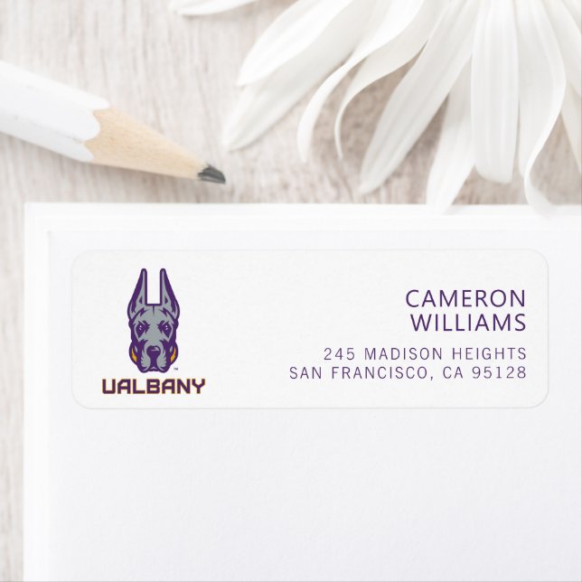 Etiqueta Universidade de Albany Great Danes (Insitu)