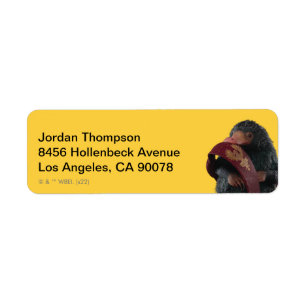 Etiqueta Ursinho Com Gráfico De Gravação