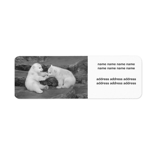 Etiqueta Ursus maritimus (Frente)