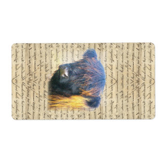 Etiqueta Vaca do planalto