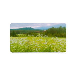 Etiqueta Verão em Hälsingland - Helsingia