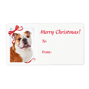 Etiqueta Vinhetas de Natal para Buldogue