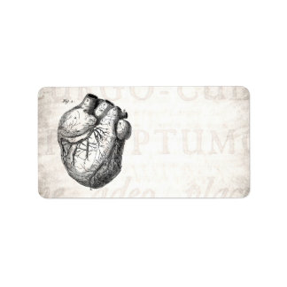 Etiqueta Vintage 1800s Corações de Anatomia Cardíaca Retro