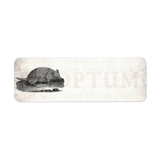 Etiqueta Vintage 1800s Retro Armadillo Antique Armadillos