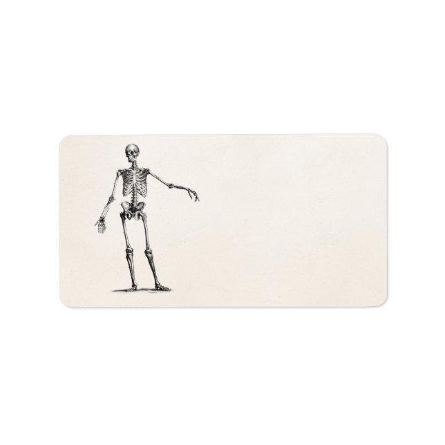 Etiqueta Vintage 1800s Skeleton Retro Anatomy Skeletons (Frente)