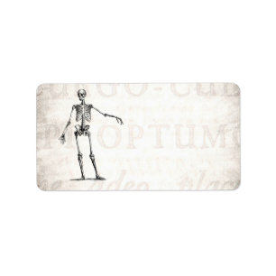 Etiqueta Vintage 1800s Skeleton Retro Skeletons Anatomia